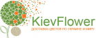 KievFlower